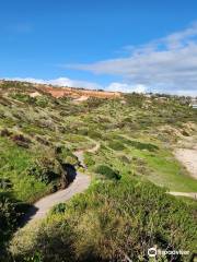 Hallett Cove Boardwalk