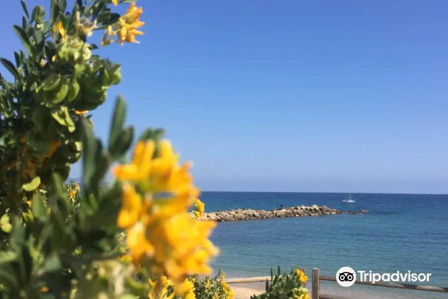 Plage de l'Anglade