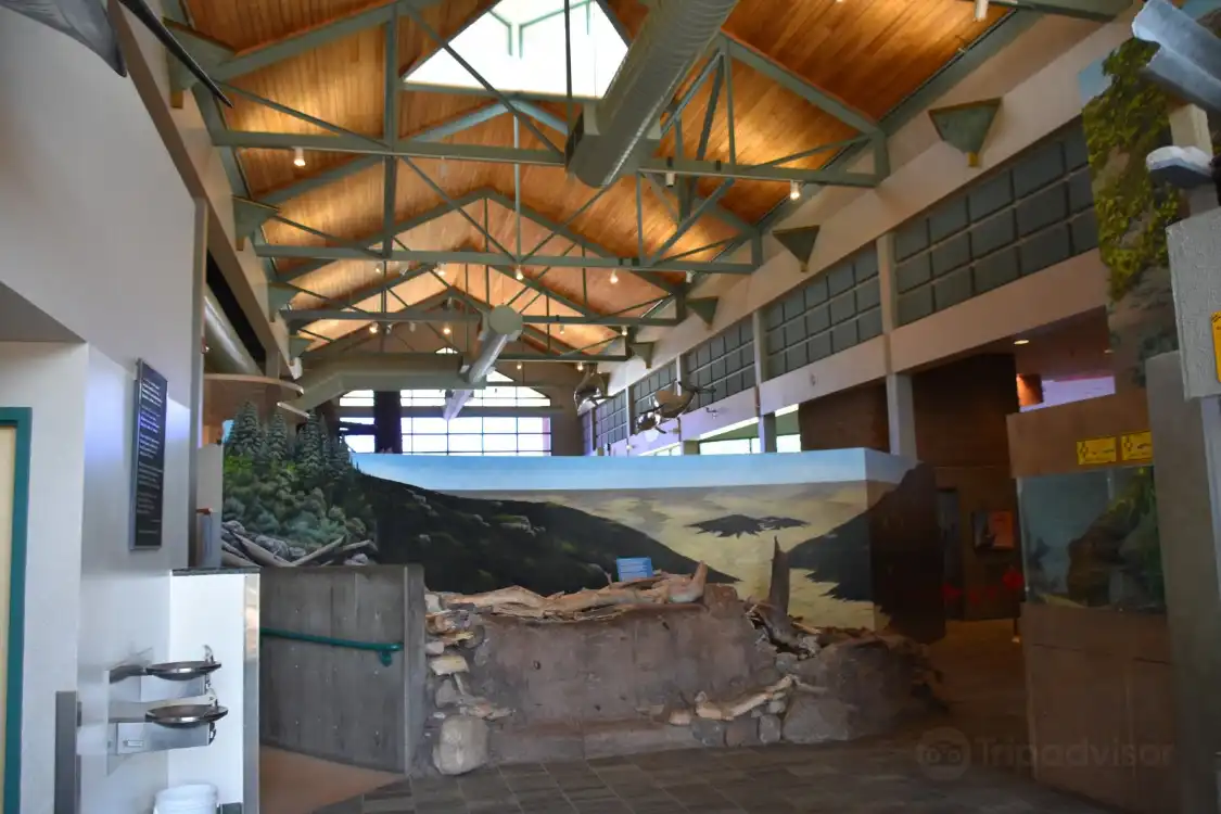 Hotel in zona ABQ BioPark Aquarium