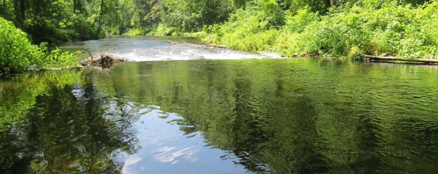 Stephens State Park