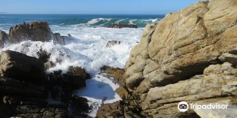 Victoria Bay