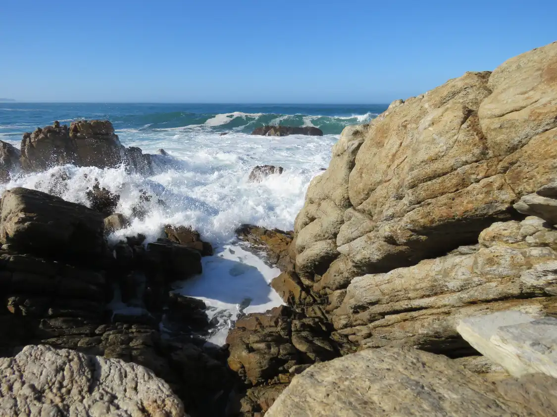 빅토리아 베이 주변 호텔