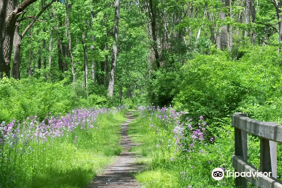 Catharine Valley Trail