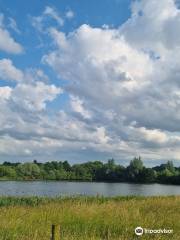 Staveley Nature Reserve