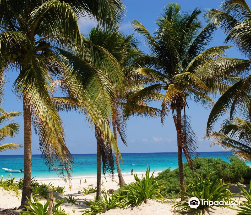 Playa Paraiso