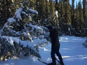 Moose Mountain