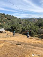 Yosemite Ziplines and Adventure Ranch