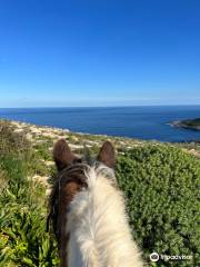 Gozo Stables Horse-Riding