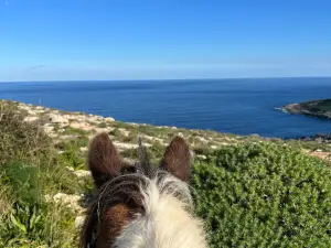 Gozo Stables Horse-Riding