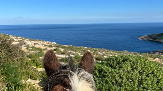 Gozo Stables Horse-Riding