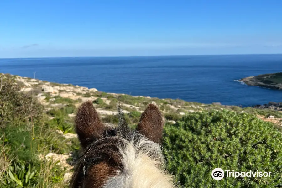 Gozo Stables Horse-Riding