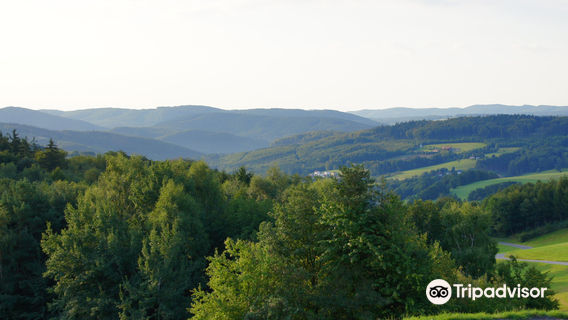 Tullnerbach