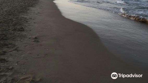 Escuela Surf Valencia