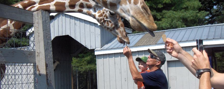 Adirondack Animal Land