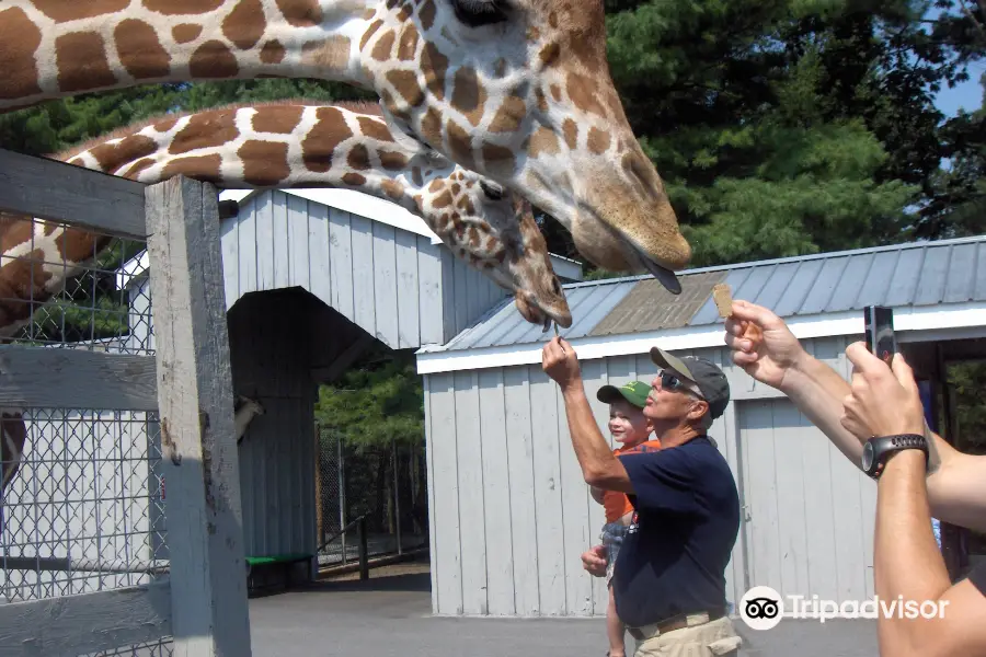 Adirondack Animal Land