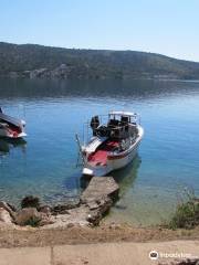 Pongo Diving Center