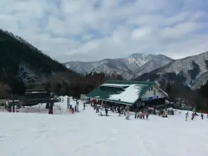 오쿠토네 스노우 파크