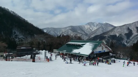 奧利根雪樂園