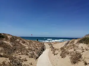 Spiaggia di Is Arenas