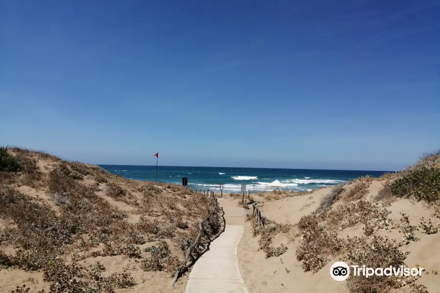 Playa de Is Arenas