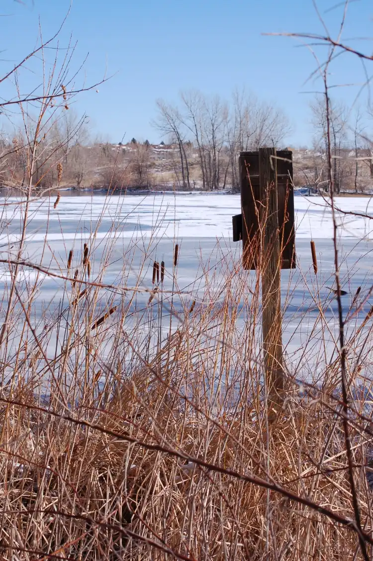 Hotels near Quincy Reservoir
