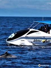 Water4fun - Whale Watching Terceira island