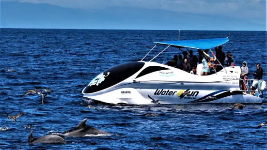 Water4fun - Whale Watching Terceira island