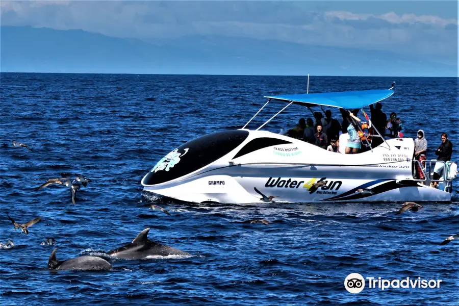Water4fun - Whale Watching Terceira island