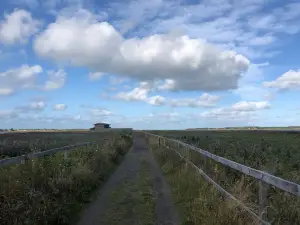 Getterön Nature Reserve