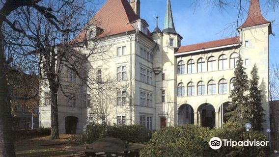 Museum of Art and History