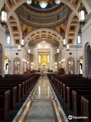 The Cathedral of the Most Sacred Heart of Jesus