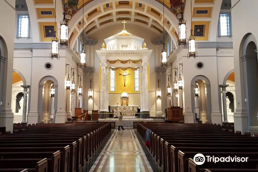 The Cathedral of the Most Sacred Heart of Jesus