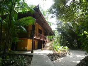 Bosque Rodrigues Alves - Jardim Botanico da Amazonia