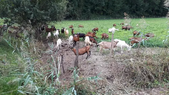 La Chevrerie de Vions