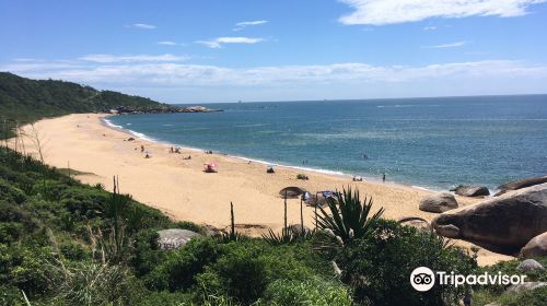 Taquarinhas Beach