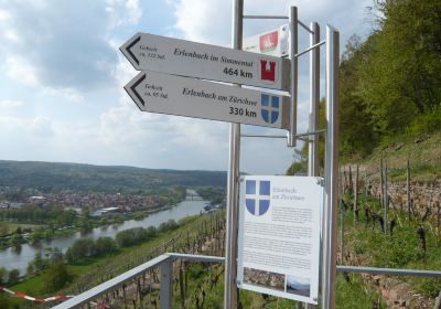 Picknickplattform mit Sonnenliegen im Weinberg