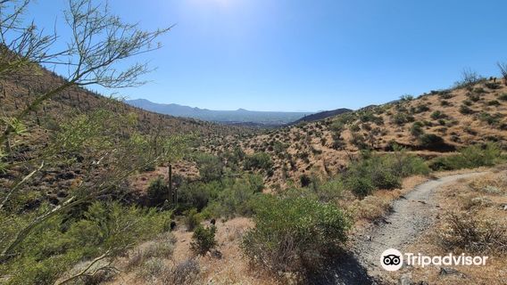Cave Creek Regional Park