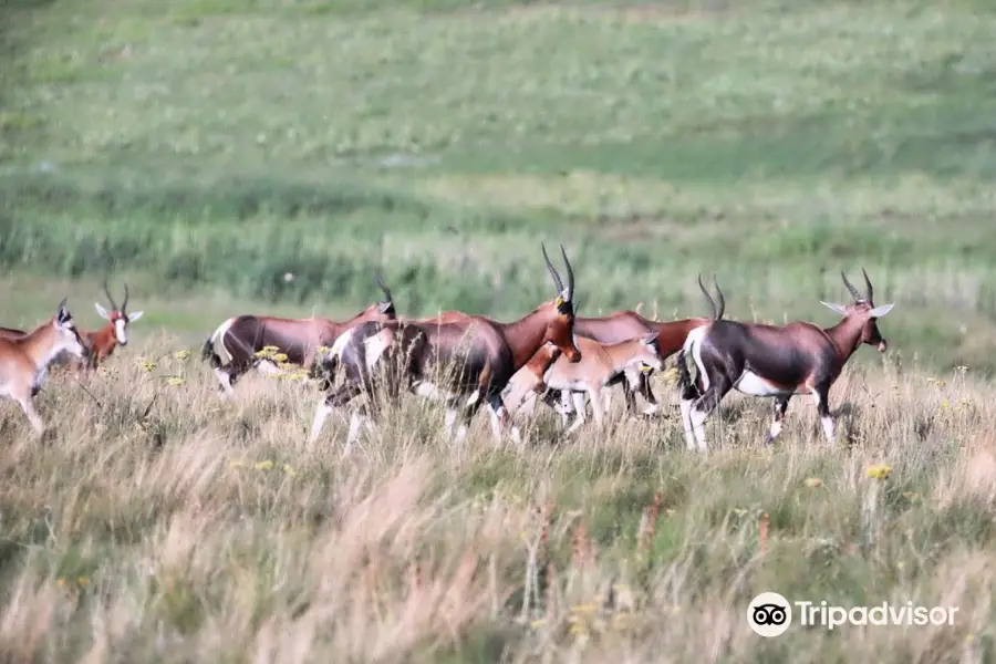 Glen Garriff Conservation