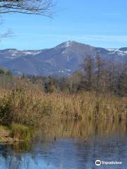 Lago di Sartirana