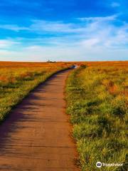 Santa Fe Trail Tracks