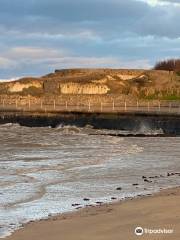 St. Mildred's Bay Beach