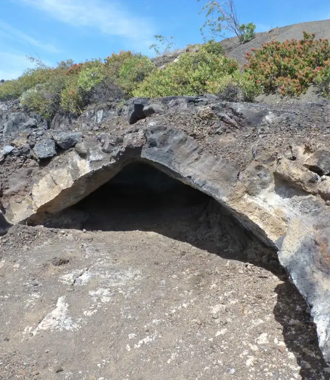 El Pinar de El Hierro