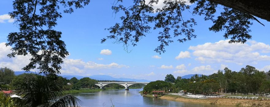 Sultan Iskandar Bridge