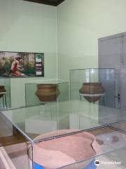 Antonio Selistre de Campos Museum