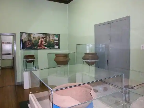 Hotels near Antonio Selistre de Campos Museum