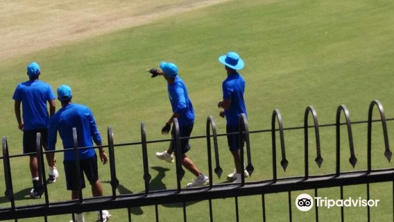 霍克板球體育場