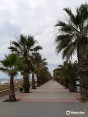 Playa de la Mota de Sant Pere