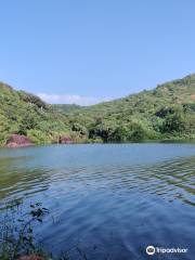 Arambol Sweet Water Lake