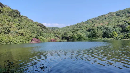 Arambol Sweet Water Lake