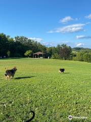 Wantage Dog Park